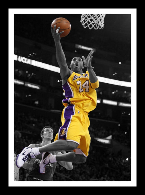 Basketball (signed &amp; unsigned)
