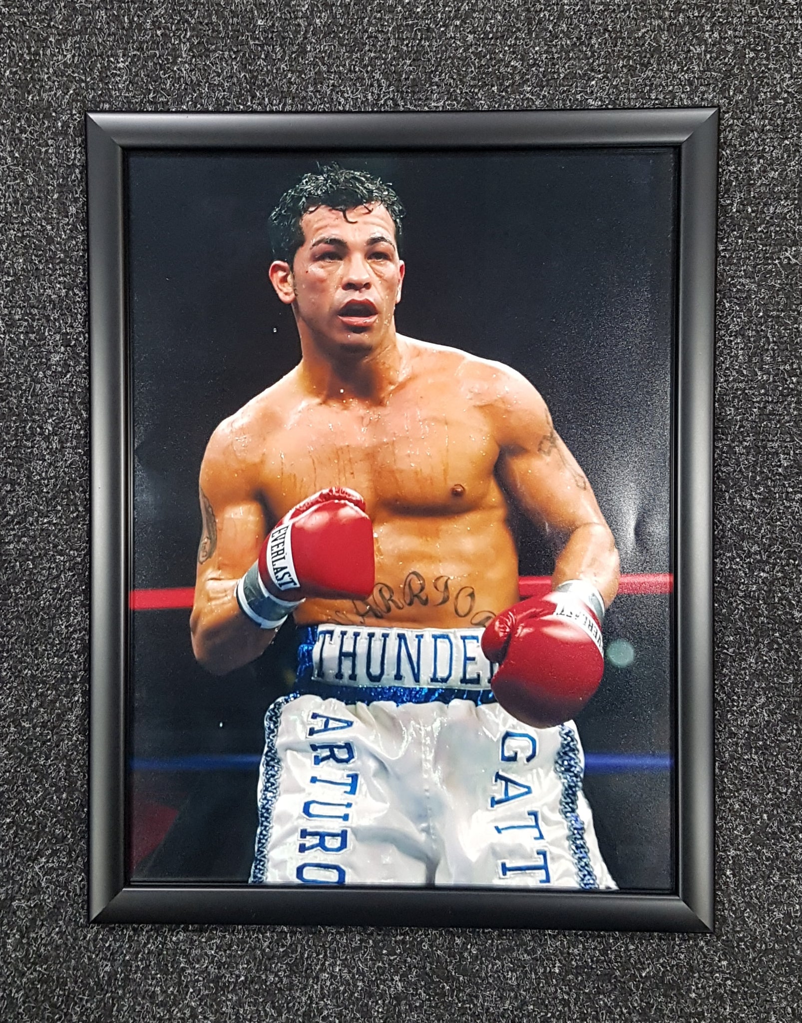 Arturo Gatti 16x12inch Photo Framed.