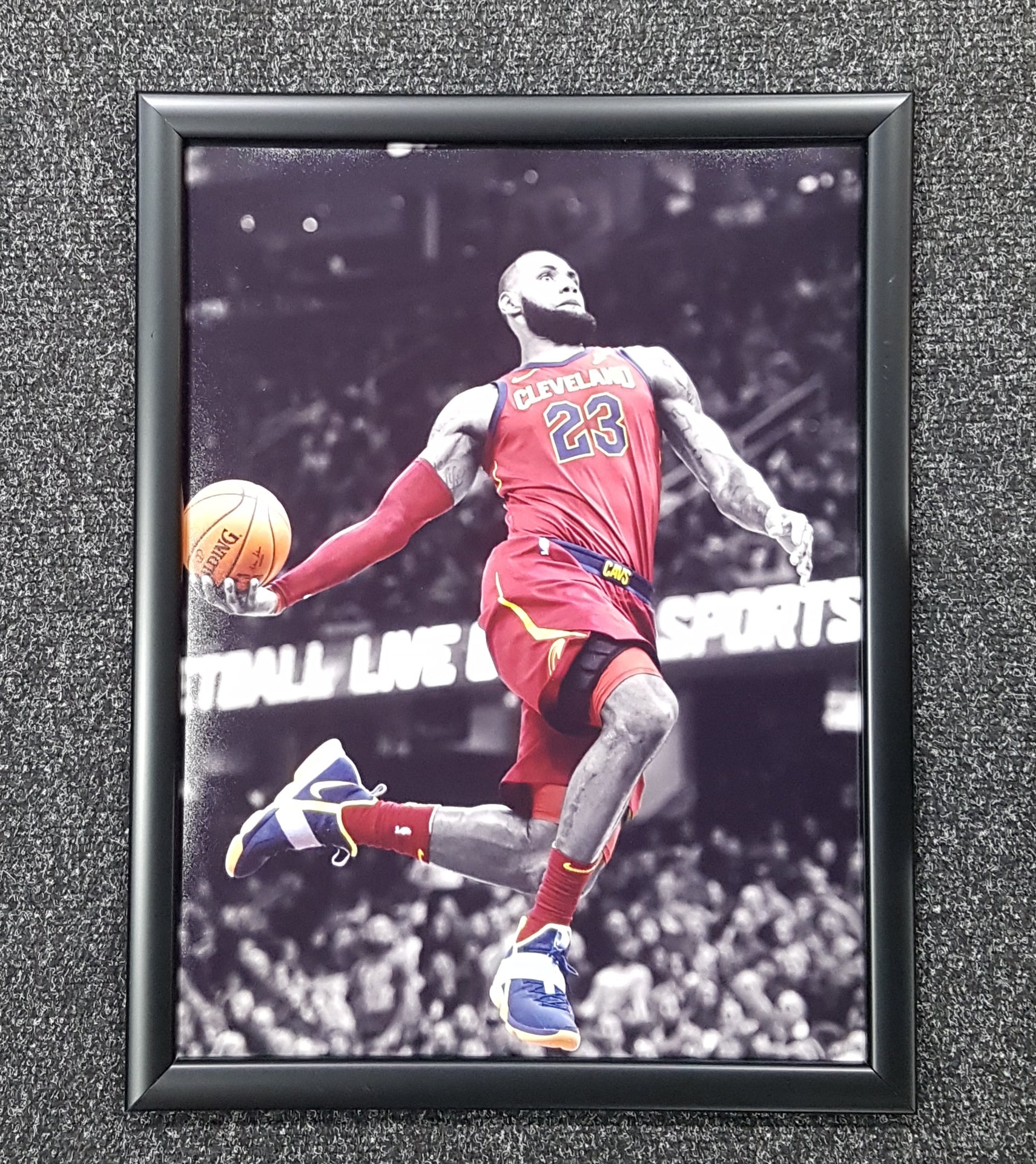 LeBron James