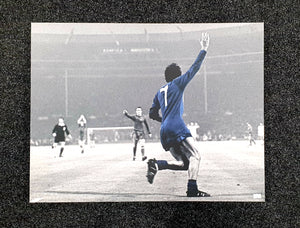 George Best