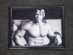 Arnie Schwarzenegger