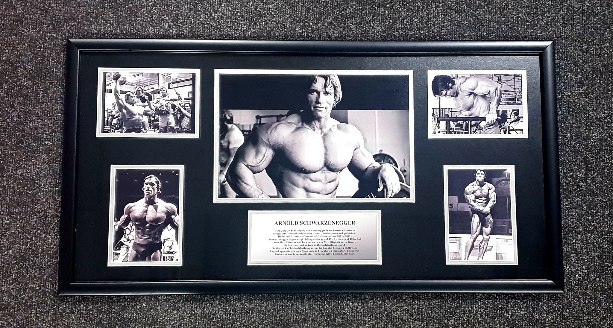 Arnold Schwarzenegger