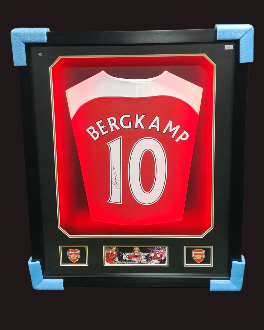 Denis Bergkamp