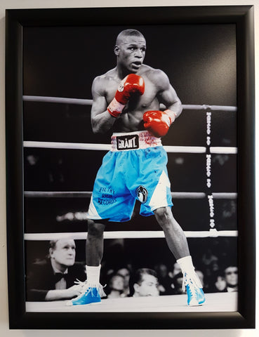 Floyd Mayweather Framed 16x12 Photo.